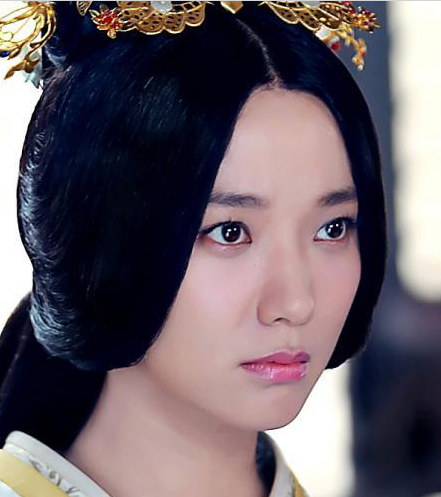 平阳公主年仅40又是二婚 卫青为什么会娶一个寡妇