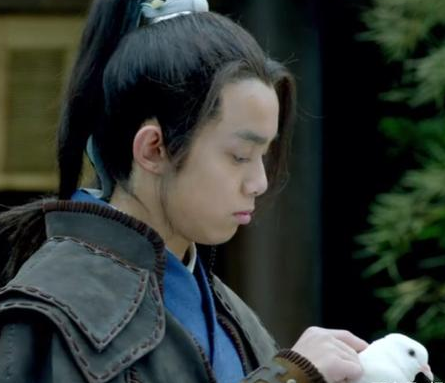 古代飞鸽传书是真的吗 如果是真的为什么还要建立驿站