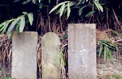 长孙无忌身为李治的舅舅 李治为什么要扳倒这个舅舅