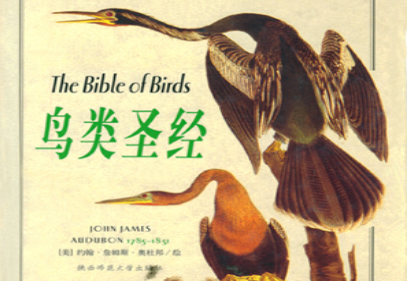 美国画家和自然主义作家约翰·詹姆斯·奥杜邦诞生