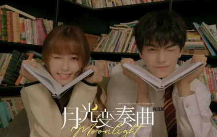 《月光变奏曲》是根据小说改编的吗？主要剧情介绍