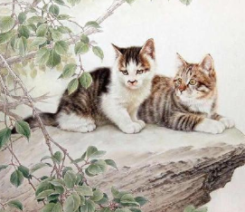 陆游有多喜欢猫？他曾为猫写过哪些诗词？