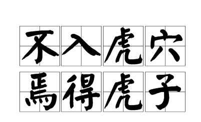历史文化探索：不入虎穴，焉得虎子的出处介绍