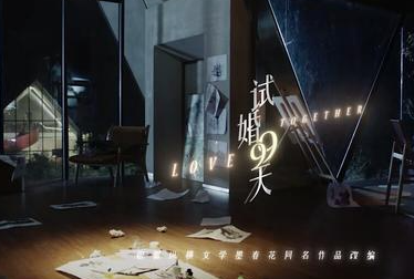 《试婚99天》是改编剧吗？剧集的质量如何呢？