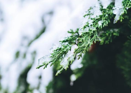 探索九首关于冬至的诗作，诗人是如何描述冬天的？