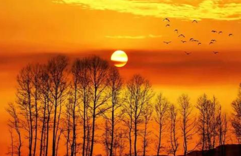 盘点最美的8首夕阳古诗词，你读过几首呢？