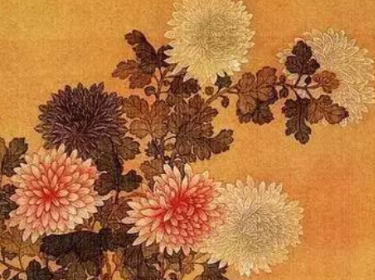 白居易所作的《重阳席上赋白菊》，表达了诗人虽然年老仍有少年的情趣