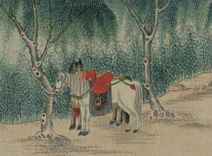 红楼梦中薛蟠遭遇劫匪抢劫时，柳湘莲为何会救他？