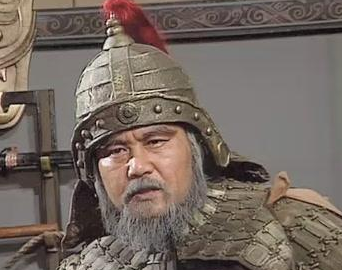 三国时期姜维是个什么样的人？实力如何