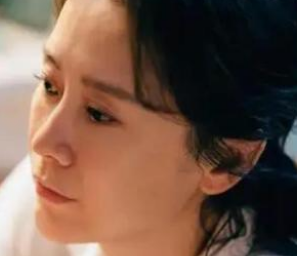 《心居》海清饰演的人物设定怎么样？演绎家笑中带泪的情感故事