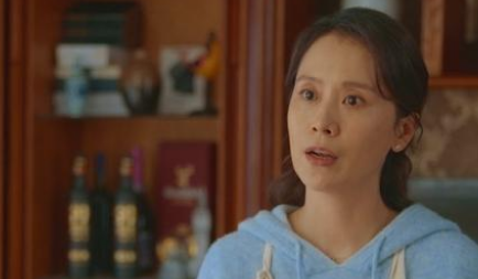 《心居》冯晓琴为何执着于想拥有一套属于自己的房子？