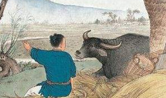 《对酒》反应出了当时曹操的什么思想？