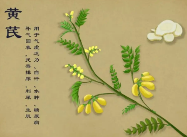 本草纲目·第三卷·百病主治·赤白浊原文是什么内容？