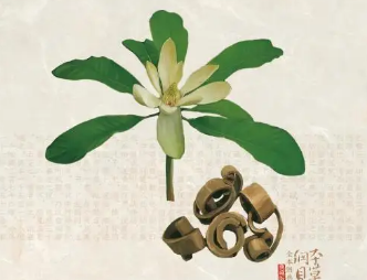 本草纲目·第三卷·百病主治·心腹痛具体内容是什么？
