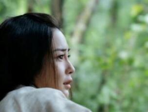《风起陇西》讲了什么故事？有哪些看点呢？