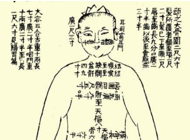 本草纲目·第三卷·百病主治·跌仆折伤具体内容是什么？