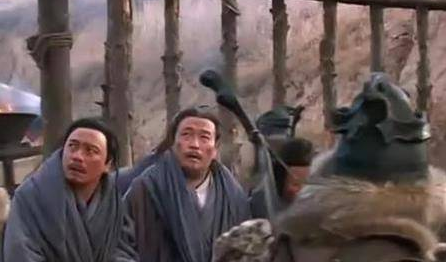 靖康之耻北宋灭亡 南宋后面是怎么报复金国的