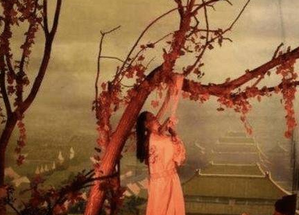 崇祯不杀魏忠贤而是用他制衡东林党 崇祯最后能挽救明朝吗