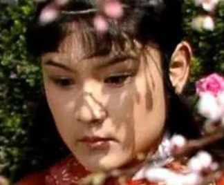 红楼梦中紫鹃情辞试莽玉后，为何会被留在怡红院？