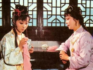 红楼梦中林黛玉和薛宝钗，谁才是真正的名门贵女？