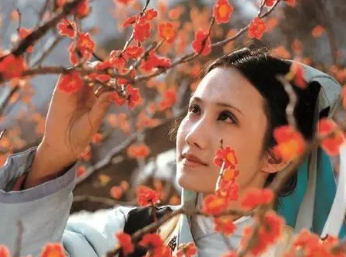 红楼梦中妙玉是何来历？邢岫烟是怎么说的？