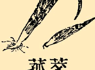 本草纲目·第八卷·草部·茭菰具体内容是什么？