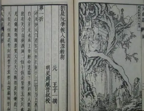 太平广记·卷一百零七·报应·王偁原文是什么内容？