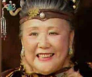 红楼梦中贾母是如何打脸薛宝钗的？薛姨妈又是如何反击的？