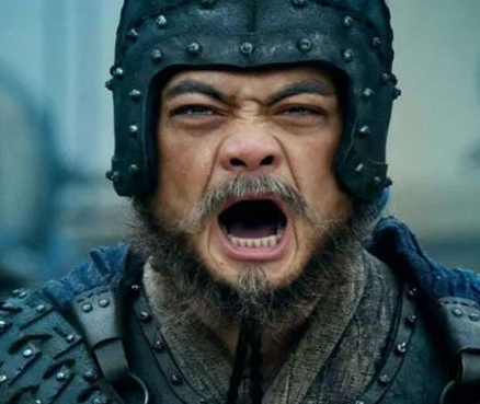 刘禅投降时魏延还活着的话 蜀汉最后还能延续下去吗