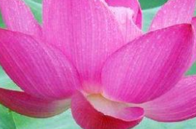 易经的明夷卦六四“获明夷之心”是什么意思？怎么理解？