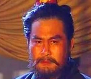 在三国正史上中，有哪些人能被称为真正的猛将?