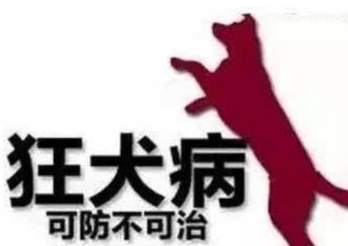 揭秘：古人如果被狗咬了怎么办？