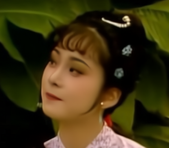 红楼梦晴雯与袭人二人有何不同？