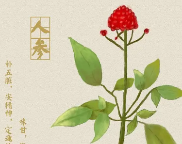 本草纲目·第三卷·百病主治·妇女经水原文是什么内容？