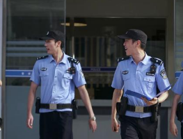 《警察荣誉》结局烂尾了？至少有三个遗憾点