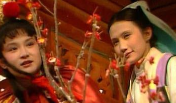《红楼梦》中的孤女妙玉到底多有钱？