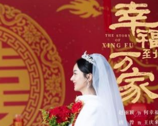 《幸福到万家》口碑怎么样？内容平凡且真实