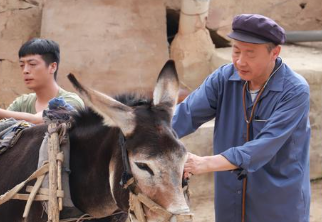 《裸养》有哪些看点？多位老戏骨加盟