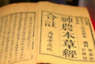 神农身为三皇之一，为何要亲尝百草？