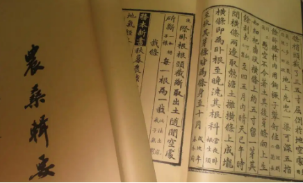 《农桑辑要》：蚕事预备·晚蚕之害 全文及翻译注释