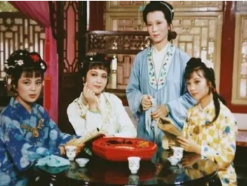 红楼梦中，王夫人口中的孽根祸胎指的是谁？