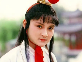 红楼梦中贾政与王夫人老了后，谁是第一顺位赡养人呢？