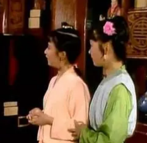 红楼梦中小鹊是什么人？她王夫人安排的卧底？