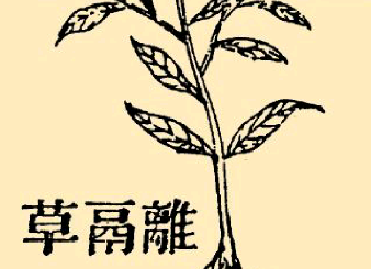 本草纲目·第八卷·草部·离鬲草原文是什么内容？