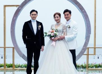 《家族荣耀》被戏称为TVB版《回家的诱惑》，剧情狗血又带感