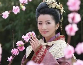 关于孙夫人，有哪些争议？后世如何评价她？