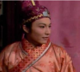红楼梦中贾蓉是什么人？他与妻子秦可卿的关系如何？