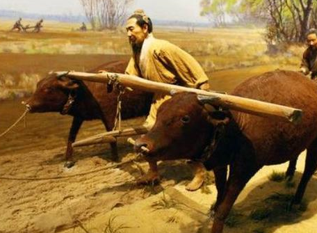 古代大侠吃饭都是2斤牛肉配1斤白酒 真实情况到底是什么样的