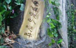 《西游记》孙悟空为什么怕六字真言，他的前世是什么？