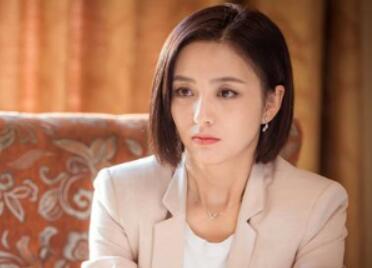 《杠杆》主演有哪些人？演员阵容可谓强大